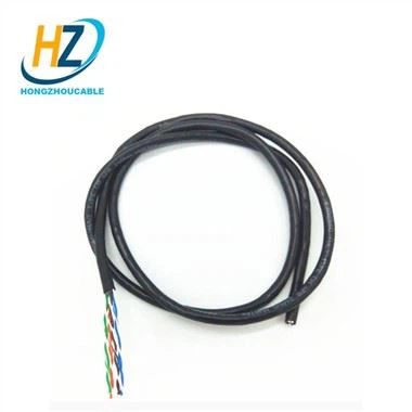 Cáp Ethernet 30ft