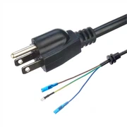 Hợp Chủng Quốc Hoa Kỳ (USA) - Ổ Cắm Điện